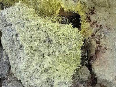 Обзорные автоэкскурсии,индивидуальные однодневные туры, индивидуальные маршруты. Дипломированный инструктор проводник.