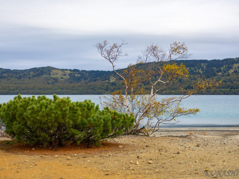 Вулкан Головнина