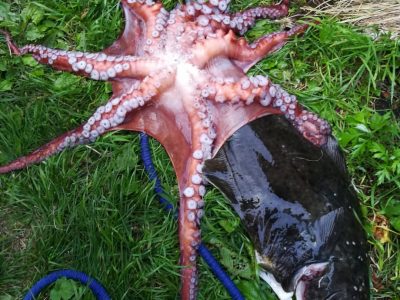 Морская рыбалка на острове Итуруп