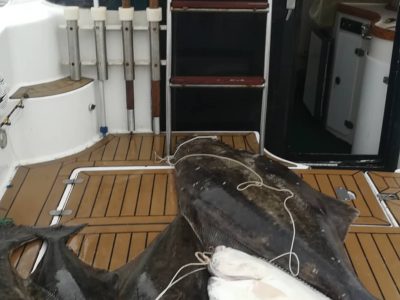 Морская рыбалка на острове Итуруп