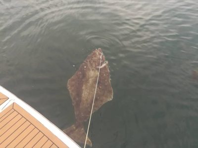 Морская рыбалка на острове Итуруп