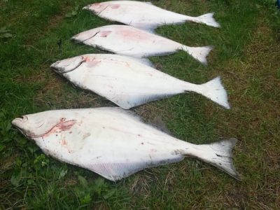 Морская рыбалка на острове Итуруп