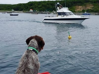 Морская рыбалка на острове Итуруп