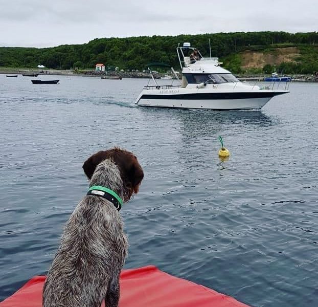 Морская рыбалка на острове Итуруп