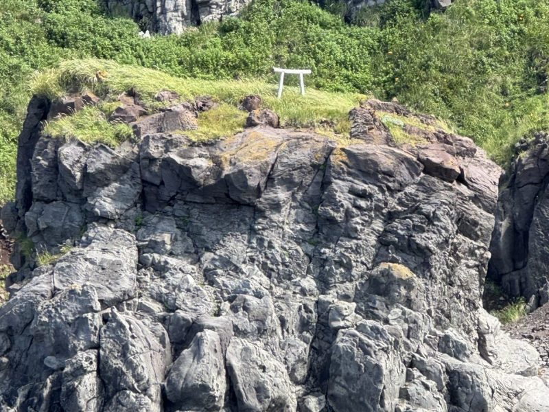 Морская прогулка «Вокруг полуострова Чирип» с высадкой на Марсовом Поле