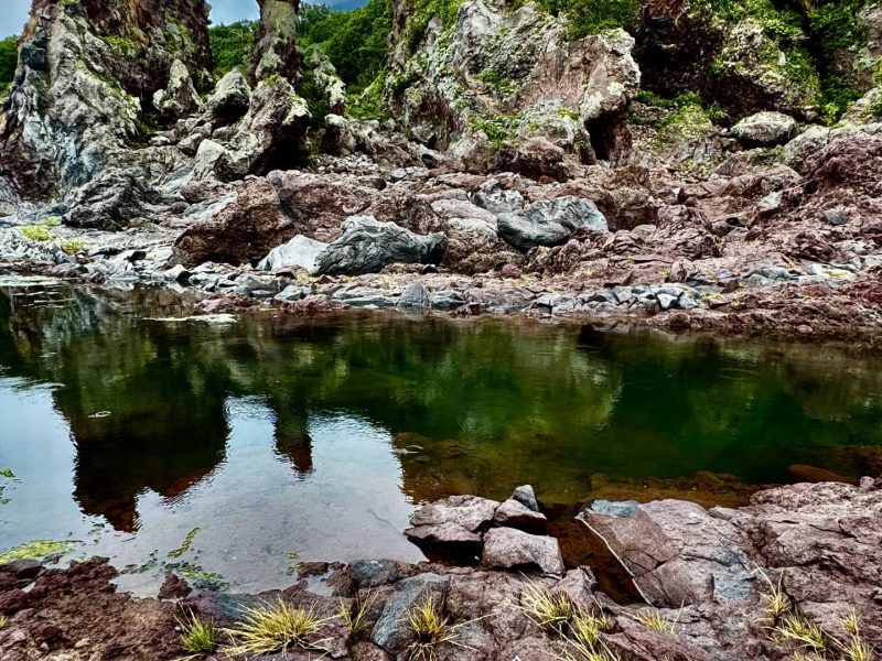 Морская прогулка «Вокруг полуострова Чирип» с высадкой на Марсовом Поле