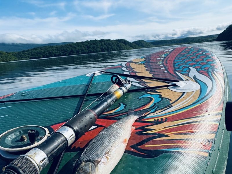 Сап-прогулки на Озеро ( прокат сапбордов)