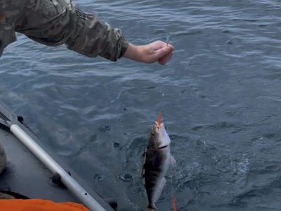 Глубоководная рыбалка, о.Кунашир