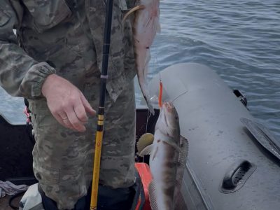 Глубоководная рыбалка, о.Кунашир