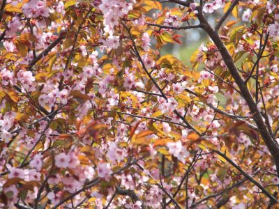 Столбовская экотропа и горячие грязевые источники