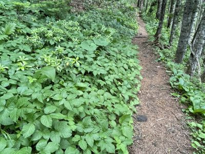 Столбовская экотропа и горячие грязевые источники