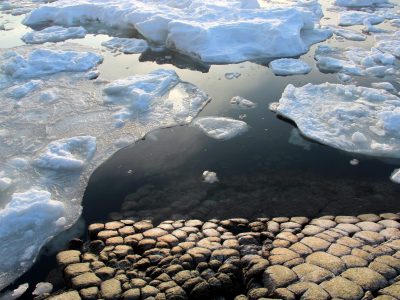 Экскурсия на мыс Столбчатый