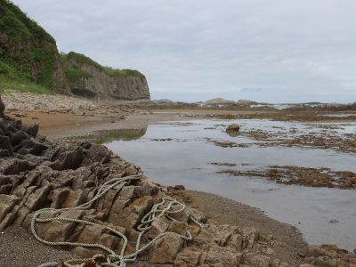 Экскурсия на мыс Столбчатый