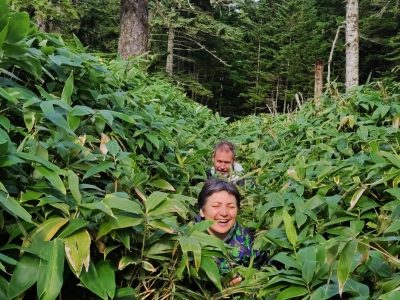 Тур по Кунаширу с погружением в историю и культуру коренных народов Айну
