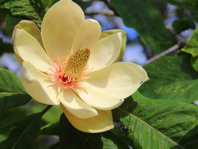 Столбовская экотропа и горячие грязевые источники