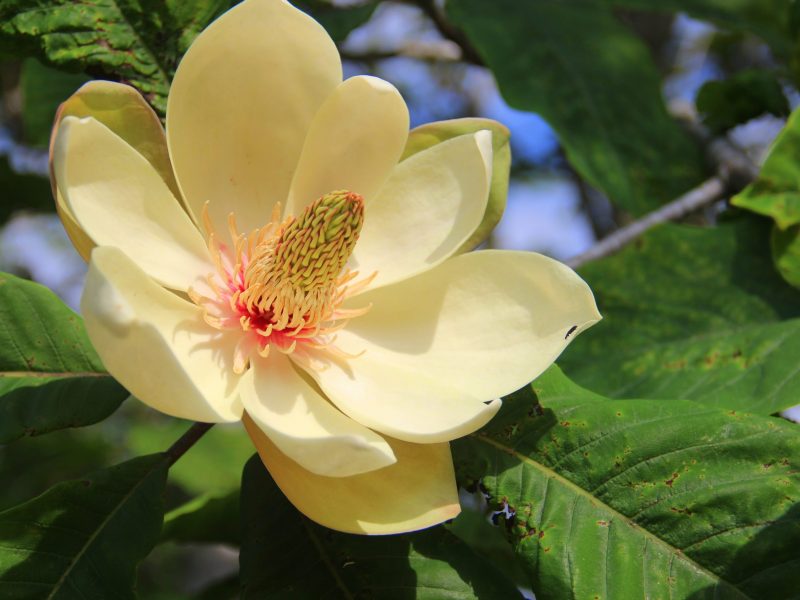 Столбовская экотропа и горячие грязевые источники