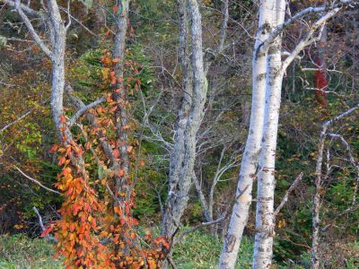 Столбовская экотропа и горячие грязевые источники