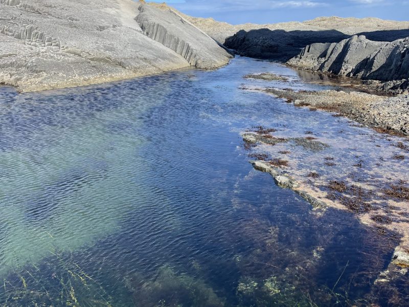 Экскурсия на мыс Столбчатый