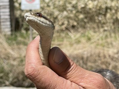 Столбовская экотропа и горячие грязевые источники