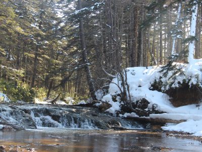 Обзорная экскурсия - водопады ручья Кислый, водопад на ручье Андреевский, смотровая на мыс Пузанова (Головнинский клиф), Чертов Палец и Южно-Курильский маяк